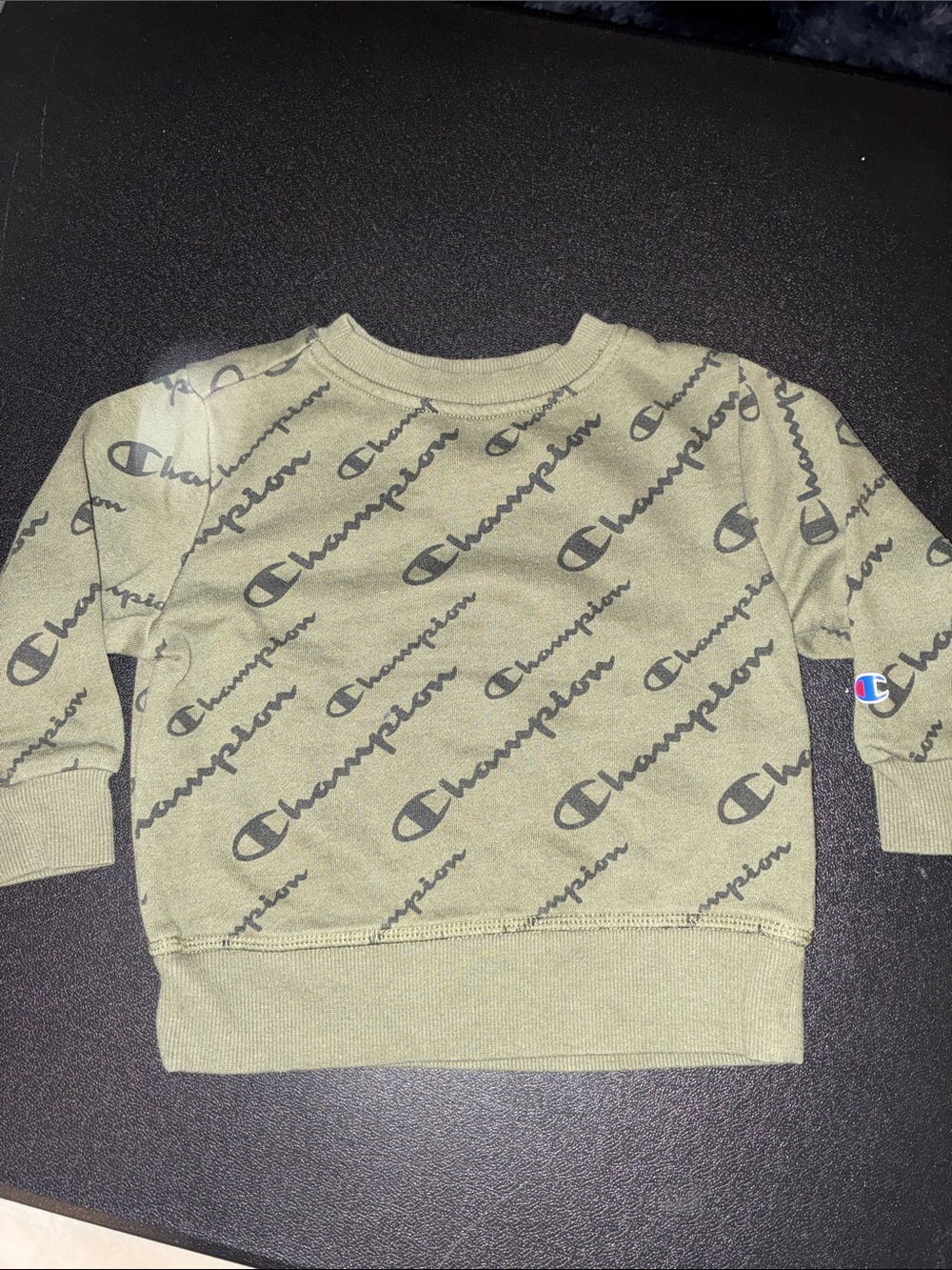 Champion Olive Green Kids Logo Crewneck Sweatshirt 18-24 months